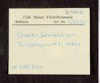 Etikett zu Chank-Schnecke mit Ritzornamentik (NHMW-ZOO-MO-0081100-ETH-126)